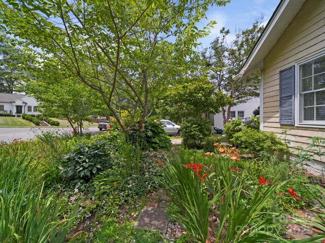 412 Dale Ave, Gastonia, NC 28052 - photo 44