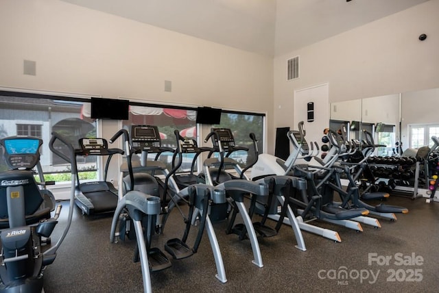 1500 Lookout Cir, Waxhaw, NC 28173 - gym with a high ceiling