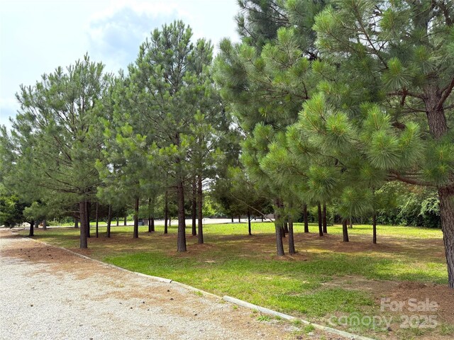 0 Waxhaw Hwy, Monroe, NC 28112 - photo 3