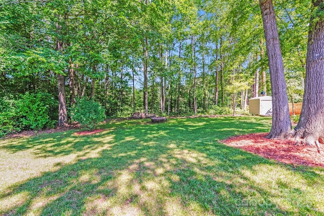 15811 Burlingame Dr, Huntersville, NC 28078 - view of green lawn with a shed