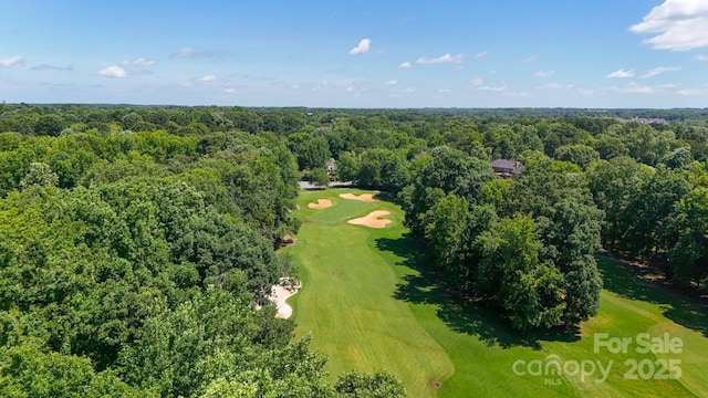 15811 Burlingame Dr, Huntersville, NC 28078 - bird's eye view of a local golf course and a forest