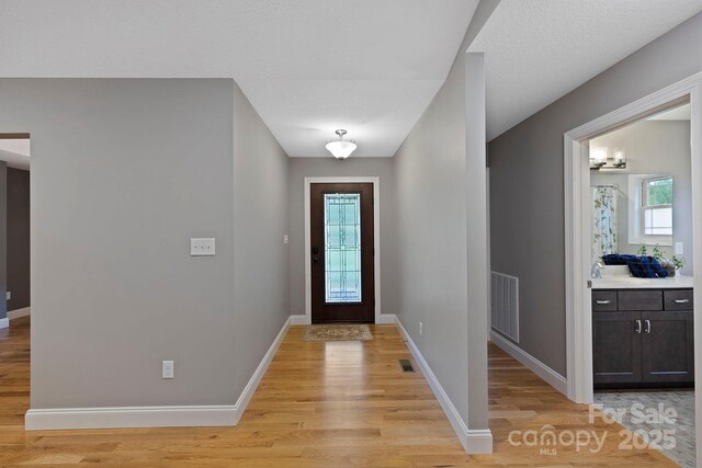 288 Ollie Weaver Rd, Weaverville, NC 28787 - foyer with light wood-style floors and baseboards