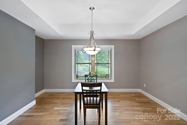 288 Ollie Weaver Rd, Weaverville, NC 28787 - dining space featuring a tray ceiling and light wood-style flooring