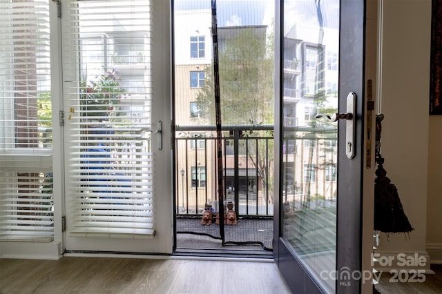 720 Governor Morrison St Unit 221, Charlotte, NC 28211 - entryway with healthy amount of natural light and wood finished floors