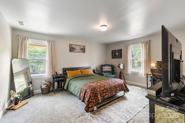 3980 English Oak Dr, Lincolnton, NC 28092 - bedroom with multiple windows and carpet flooring