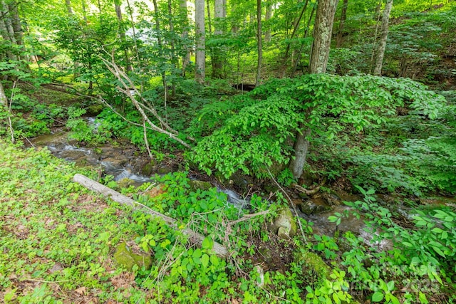 TBD Woodfin Road, Sylva, NC 28779 - photo 7