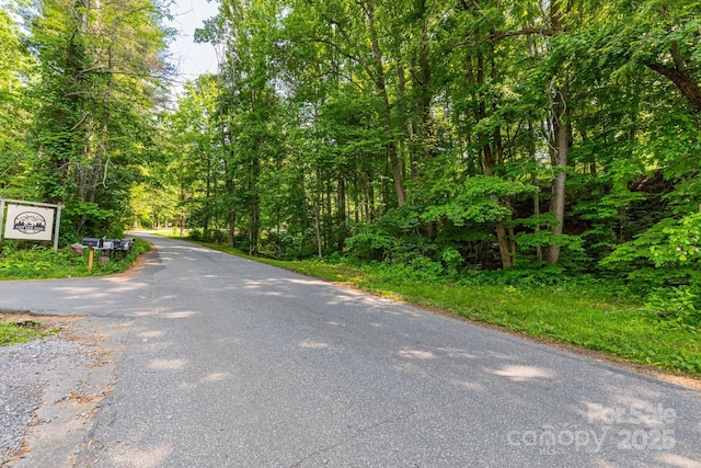 TBD Woodfin Road, Sylva, NC 28779 - photo 8