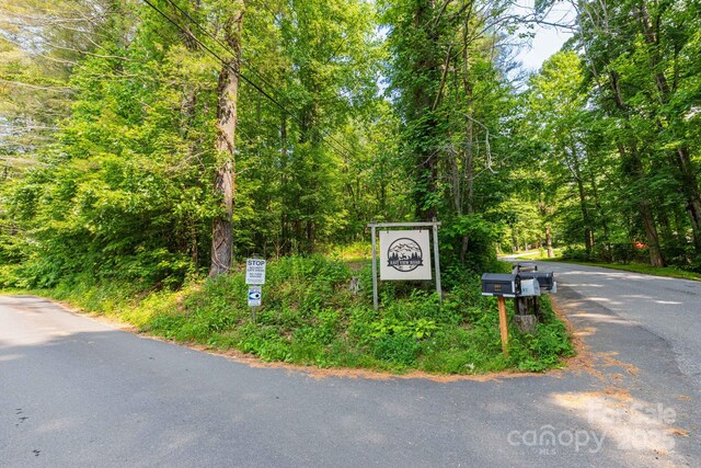TBD Woodfin Road, Sylva, NC 28779 - photo 9