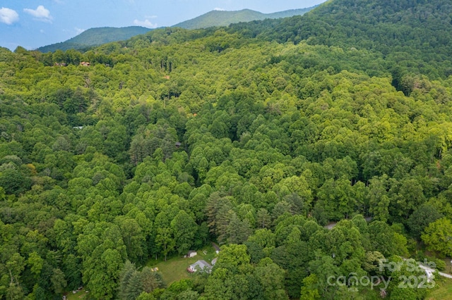 TBD Woodfin Road, Sylva, NC 28779 - photo 10