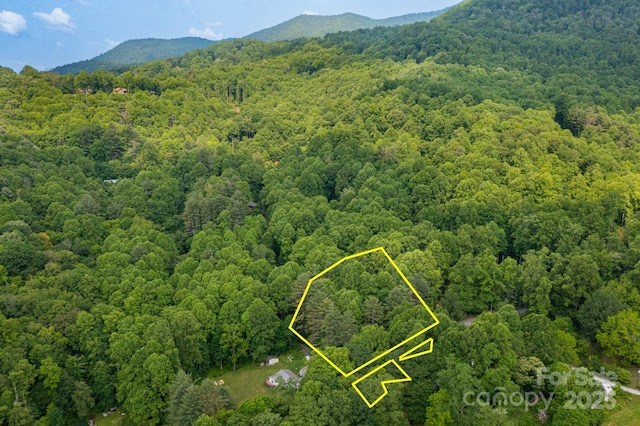 TBD Woodfin Road, Sylva, NC 28779 - photo 11