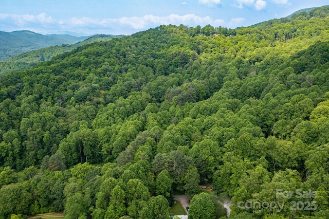 TBD Woodfin Road, Sylva, NC 28779 - photo 12
