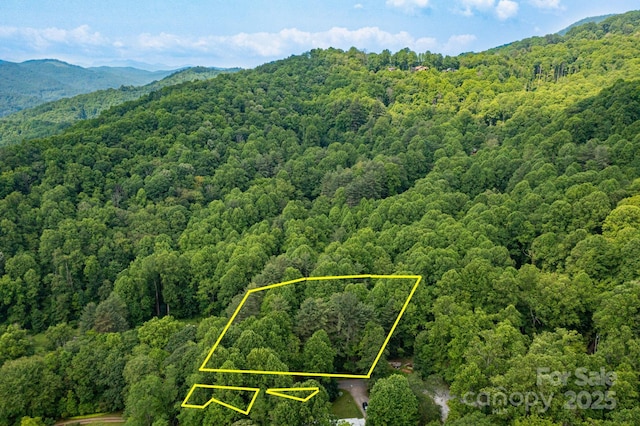 TBD Woodfin Road, Sylva, NC 28779 - photo 13