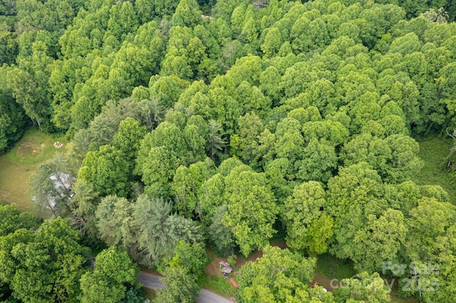 TBD Woodfin Road, Sylva, NC 28779 - photo 14