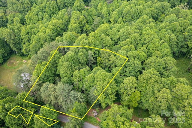 TBD Woodfin Road, Sylva, NC 28779 - photo 15