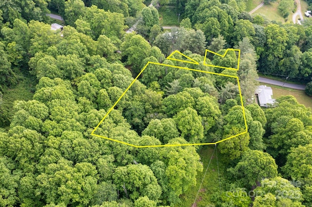 TBD Woodfin Road, Sylva, NC 28779 - photo 17