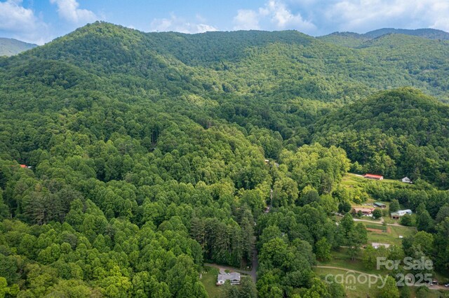 TBD Woodfin Road, Sylva, NC 28779 - photo 18