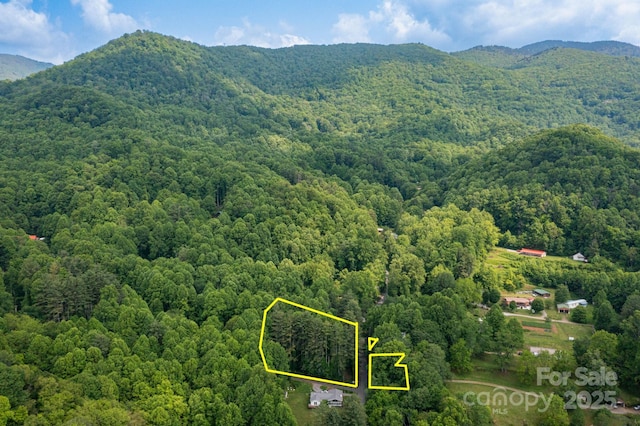 TBD Woodfin Road, Sylva, NC 28779 - photo 19
