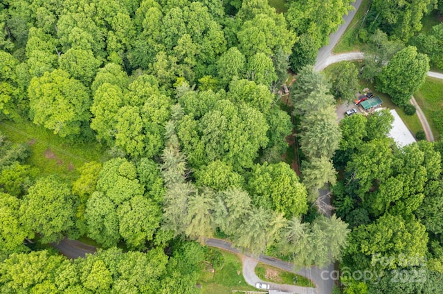 TBD Woodfin Road, Sylva, NC 28779 - photo 20