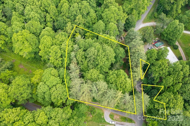 TBD Woodfin Road, Sylva, NC 28779 - photo 21
