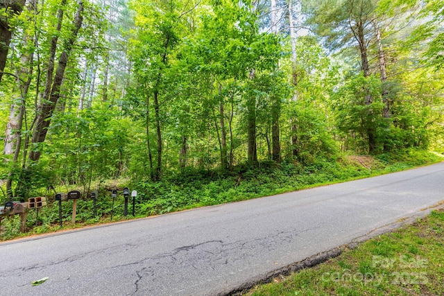 TBD Woodfin Road, Sylva, NC 28779 - photo 1