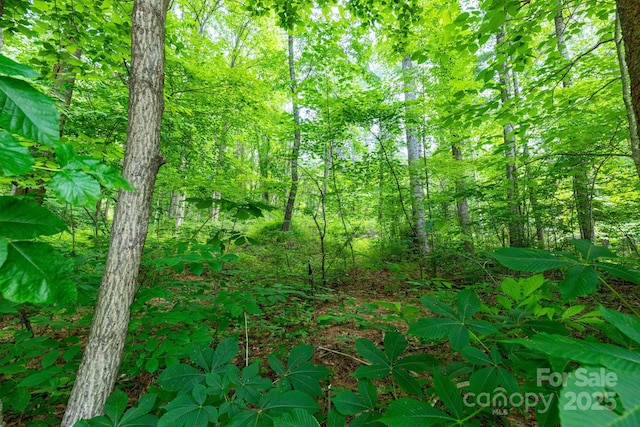 TBD Woodfin Road, Sylva, NC 28779 - photo 2