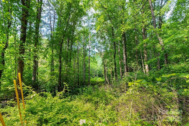 TBD Woodfin Road, Sylva, NC 28779 - photo 3