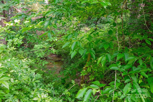 TBD Woodfin Road, Sylva, NC 28779 - photo 4