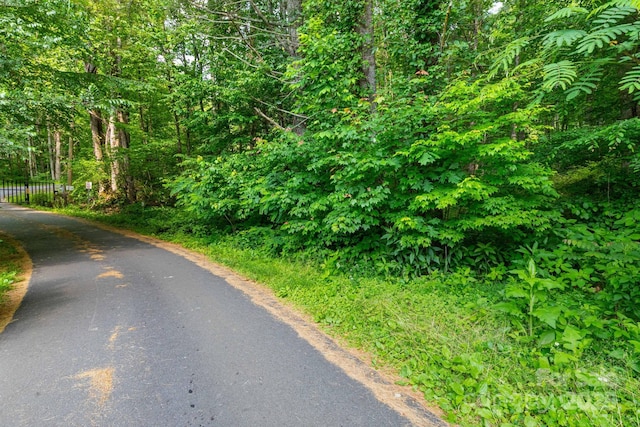 TBD Woodfin Road, Sylva, NC 28779 - photo 5