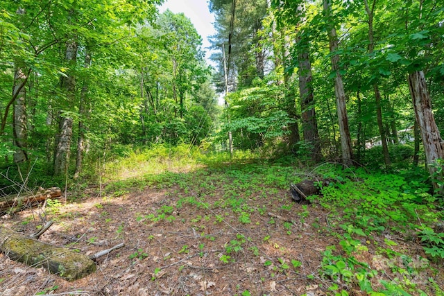 TBD Woodfin Road, Sylva, NC 28779 - photo 6