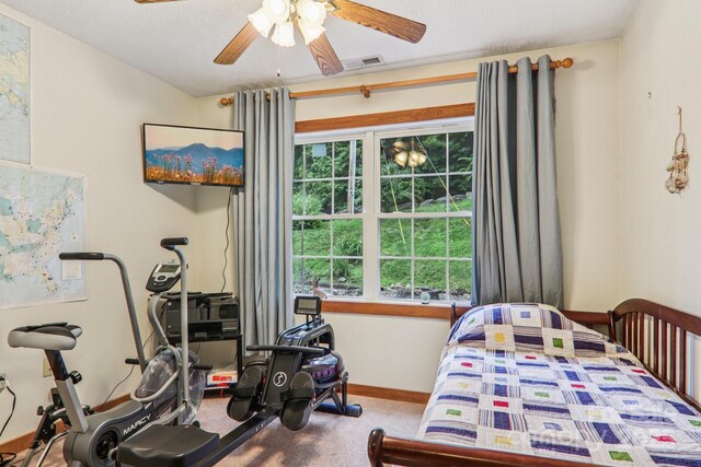 574 Appaloosa Trl, Waynesville, NC 28785 - photo 19