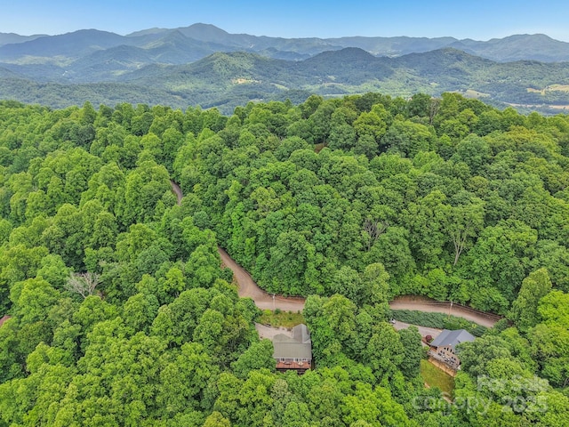574 Appaloosa Trl, Waynesville, NC 28785 - photo 38