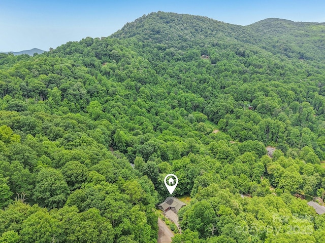 574 Appaloosa Trl, Waynesville, NC 28785 - photo 39
