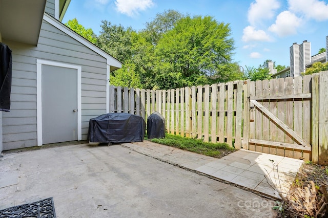 6044 Heath Valley Rd, Charlotte, NC 28210 - view of patio / terrace featuring grilling area and a gate