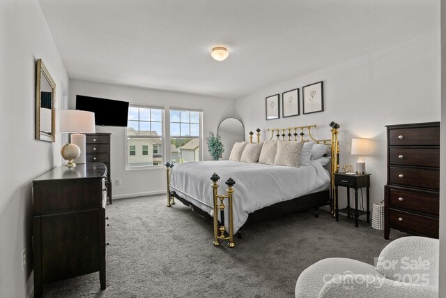 1207 Skyflower Way, Charlotte, NC 28214 - photo 15