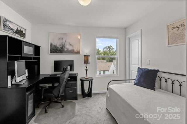 1207 Skyflower Way, Charlotte, NC 28214 - photo 21