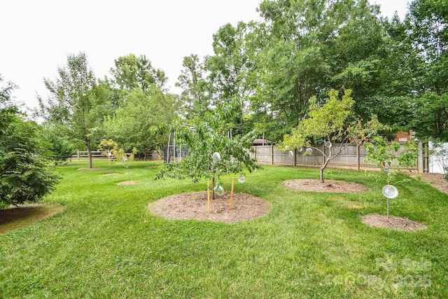 4320 Atkinson Way, Monroe, NC 28110 - photo 13