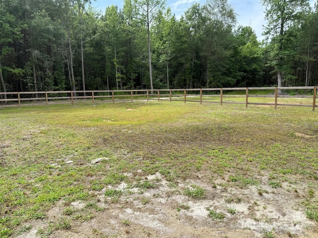 2931 Calhoun Rd, Clio, SC 29525 - photo 7