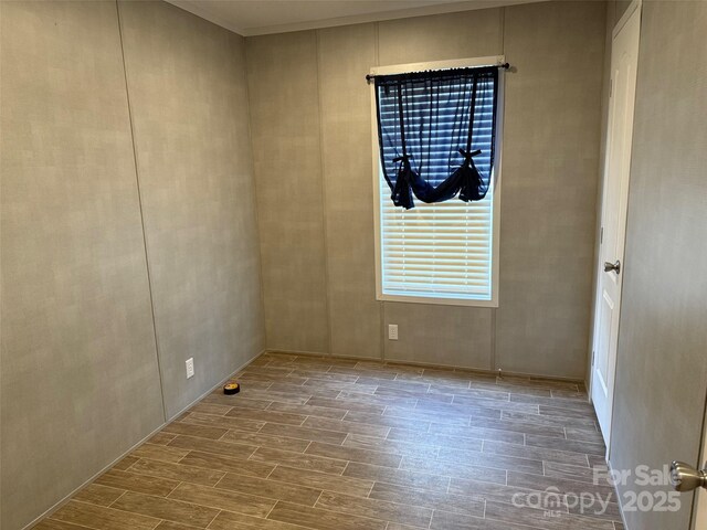 2931 Calhoun Rd, Clio, SC 29525 - photo 25