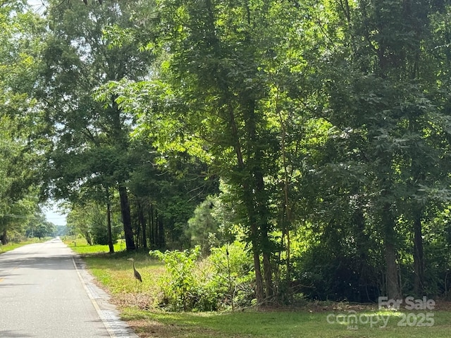 2931 Calhoun Rd, Clio, SC 29525 - photo 31