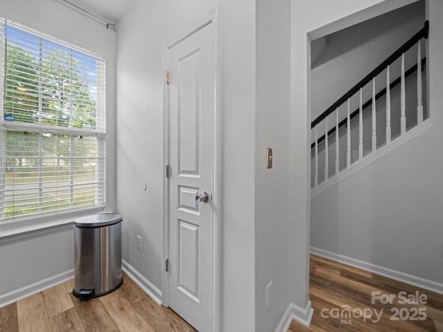 4607 Silk Tree Ln, Rock Hill, SC 29732 - photo 5