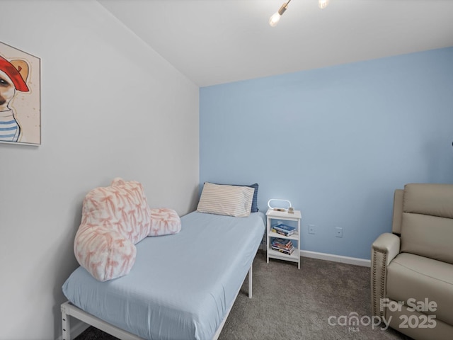 4607 Silk Tree Ln, Rock Hill, SC 29732 - photo 29