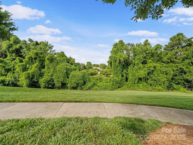 4607 Silk Tree Ln, Rock Hill, SC 29732 - photo 30
