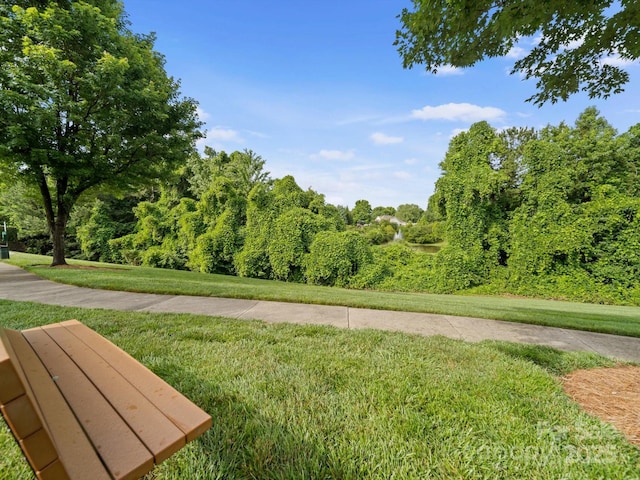4607 Silk Tree Ln, Rock Hill, SC 29732 - photo 31