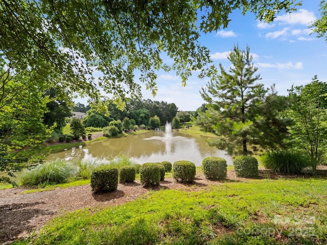 4607 Silk Tree Ln, Rock Hill, SC 29732 - photo 36