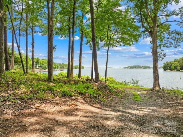 16429 Twin Cove Dr, Huntersville, NC 28078