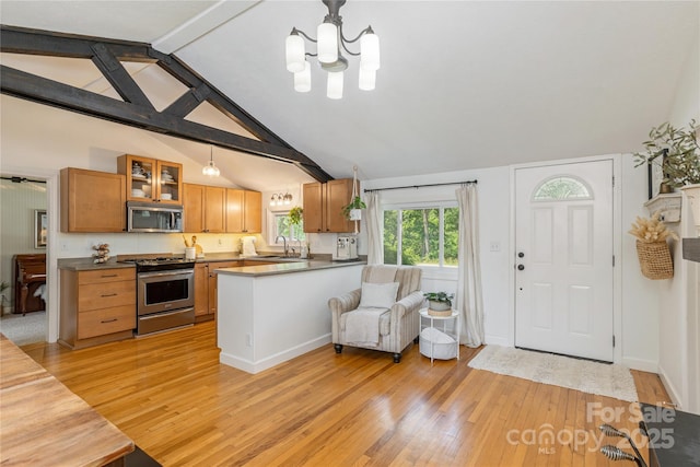 540 Oak Grove Rd, Flat Rock, NC 28731 - kitchen with appliances with stainless steel finishes, light wood-type flooring, a chandelier, and glass insert cabinets