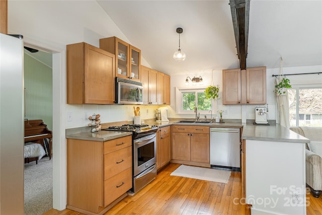 540 Oak Grove Rd, Flat Rock, NC 28731 - kitchen with appliances with stainless steel finishes, a peninsula, glass insert cabinets, light wood-style flooring, and decorative light fixtures