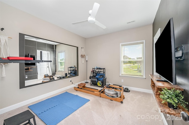 15103 Keyes Meadow Way, Huntersville, NC 28078 - photo 29