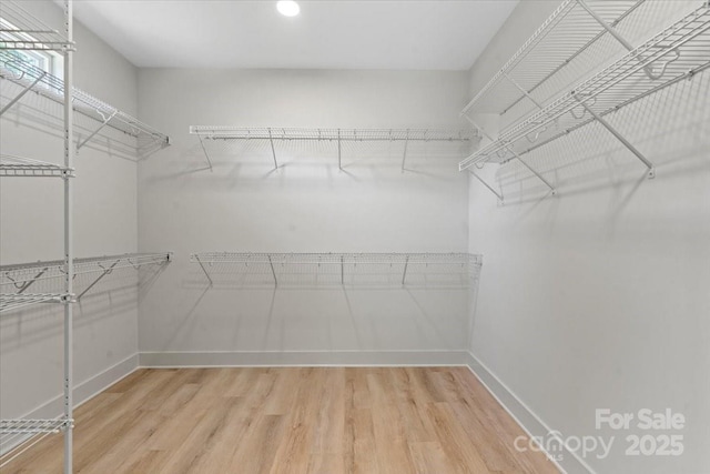 5526 Brookwood Ln, Hickory, NC 28602 - walk in closet with light wood-type flooring