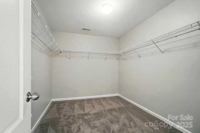 8115 Kelburn Ln, Charlotte, NC 28273 - walk in closet featuring carpet